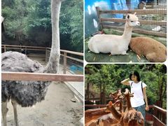 -栾川竹海野生动物园