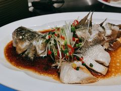 -眉州东坡(北苑华贸店)