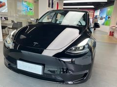 -TESLA 特斯拉(郑州正弘城体验店)