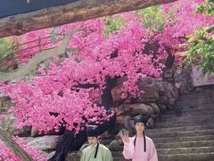 -北京乐谷