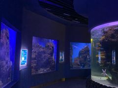 -石家庄海洋公园