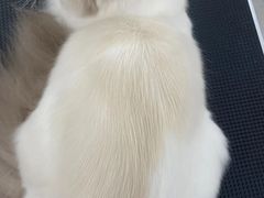 -comecome来吧宠物(奥克斯中心店)