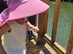 -参仙谷生态旅游度假区