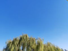 -南翠屏公园