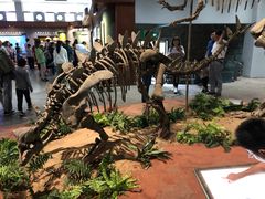 -自贡恐龙博物馆