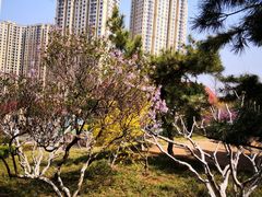 -贮水山儿童公园