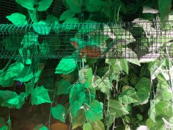 -酷嗒动物文化乐园(cutezoo西溪乐天城店)