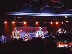 -坚果NUTS