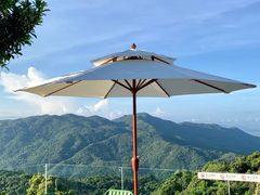 -亚龙湾热带天堂森林公园