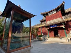 -天津大悲禅院