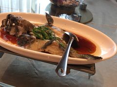 清蒸老虎斑-马哥孛罗大酒店中餐 · 汉唐盛宴