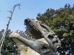 -自贡恐龙博物馆