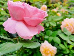 -人民公园(罗湖区)