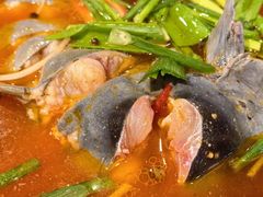 -亮欢寨酸汤鱼(沙冲路店)