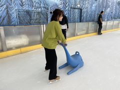 -世界之窗阿尔卑斯冰雪世界