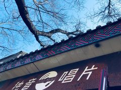 -独音唱片 Indie Music