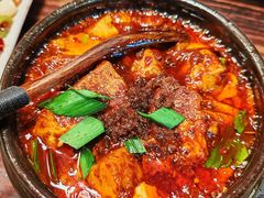 -陈麻婆豆腐(旗舰店)