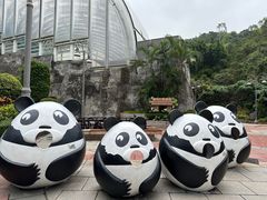 -石排湾郊野公园