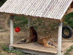 -石家庄市动物园