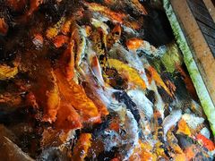 -麦园农庄·西江河鲜