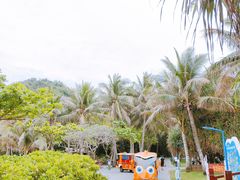 -三亚蜈支洲岛旅游区