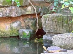 -香然会·园林雅宴(陆家嘴店)