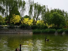 -南翠屏公园