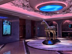 -纯K(打浦桥店)