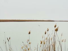 -野鸭湖国家湿地公园