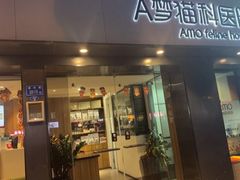 -御宝贝·A梦猫科宠物医院(国际猫友好医院)