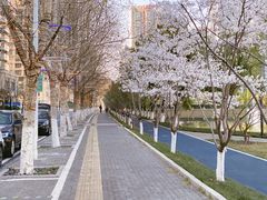 -西北湖绿化广场