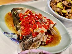 -66梧桐院·天平邻里汇(乌鲁木齐南路店)