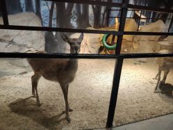 -酷嗒动物文化乐园(cutezoo西溪乐天城店)