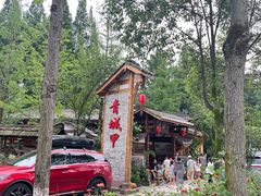 -青城甲(青城山店)