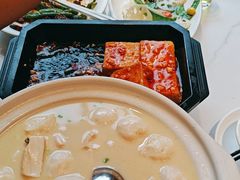 -刘胖子家常菜·蹄花焖藕(中南店)