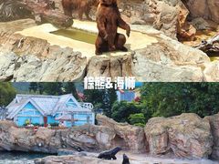 -珠海长隆海洋王国