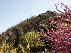 -北京鹫峰国家森林公园