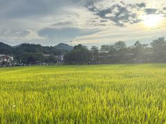 -红山村