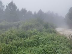 -白草畔自然风景区