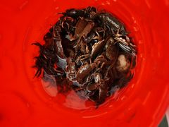 -南汇新城海滩