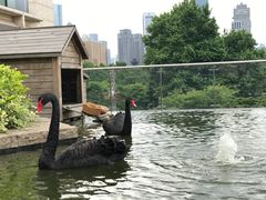 -行者书屋大堂吧 ·下午茶(南京圣和府邸酒店)