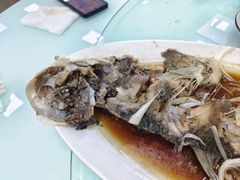 -巩本明鱼屋子