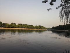 -后海公园
