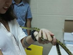 -北京观赏动物医院·24小时大型综合·猫专科·异宠专科