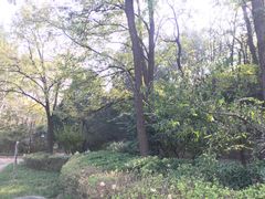 -云岗森林公园