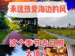 -日照灯塔风景区