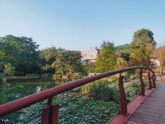 -桃花岭景区