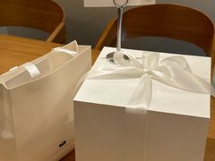 -BLACKSWAN黑天鹅(环球店)