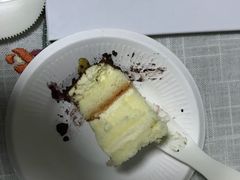 -维尔纳斯·生日蛋糕动物奶油冰淇淋蛋糕(人大店)