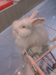 -Moni星球萌宠·小马宝莉·灵蛇·高端高阶全萌宠互动体验俱乐部(红豆国际广场店)